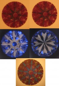 sac75578-6.jpg