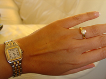 DSC08151small.jpg