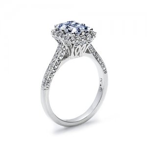 MyTacoriRing-sideview.jpg