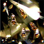 DiamondInclusions.jpg