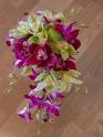 orchid_flow.jpg