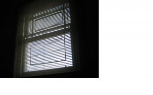 window venetians.JPG