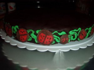 chocolatetrufflecake.w.ladybugs.JPG