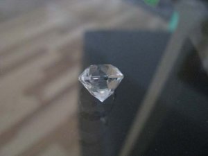 IMG_0200.JPG