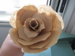 paperrose.JPG