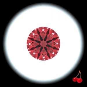 IS_AGS_8217002.jpg