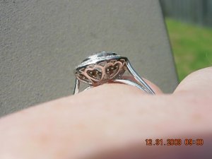 DSCN4498.JPG
