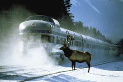 jaspertrain.jpg