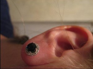 IMG0399.jpg