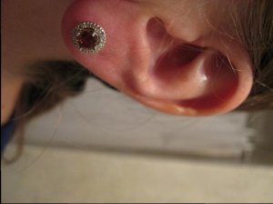 IMG0428.jpg