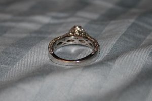 IMG_8184.jpg