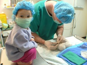 teddysurgery.jpg