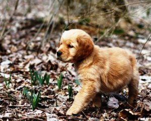 lxvpgjth_74bPBW8zqH_800_8001.jpg lxvpgjth_74bPBW8zqH_800_8001.jpg