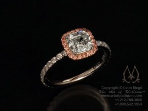 RingLM.jpg