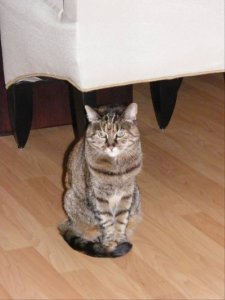 maggiegirl.jpg