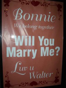 The-Bus-Stop-Proposal.jpg