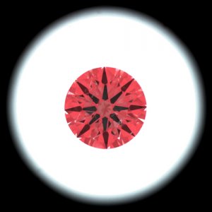 IS_AGS9116607.jpg