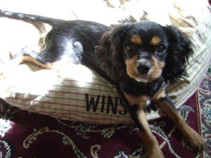 winston 018-W2.JPG