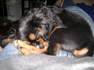 Picture 081WWW.JPG