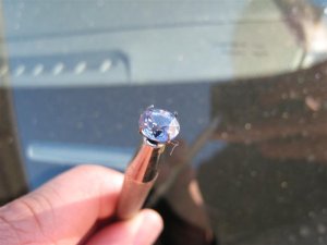 wf-IMG_0510 (Medium).JPG