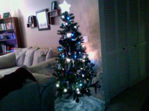 smurfyPhoto-366.jpg