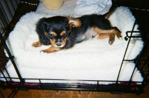 w8-3-2008-21.JPG