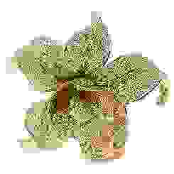 claudiasnewflower.jpg
