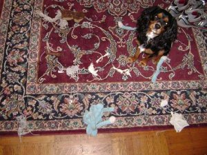 3L fall 2008 041WWW.JPG
