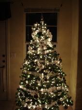 christmas tree.jpg