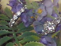 IMG_0215_edited.jpg