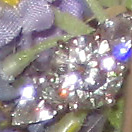 IMG_0202_edited.jpg