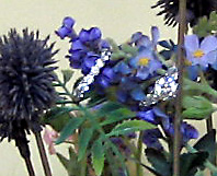 IMG_0219_edited.jpg