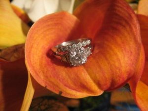 calla pic.jpg
