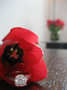 IMG_0835 web.jpg