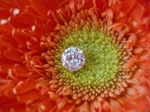 prettydiamond1.2.JPG