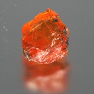 orange spess1.jpg
