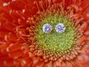 pairofpretties01.JPG