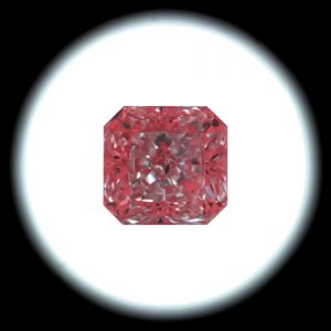 IS_GIA(dale).jpg