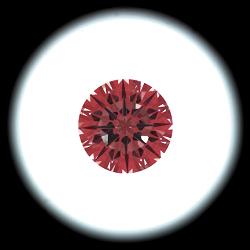 ISGIA01.jpg