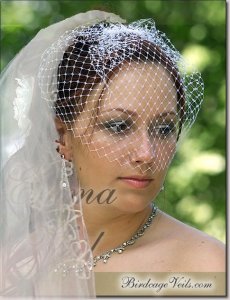 birdcage_veil_emmaPSd.jpg
