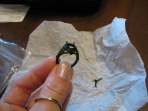 IMG_1598.JPG