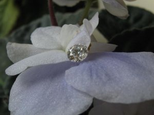 diamond 067.JPG