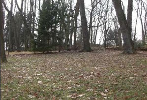 2robbie3982backyard.jpg