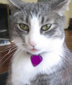 littletongue.jpg
