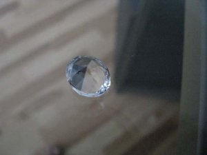 IMG_0196freke.jpg