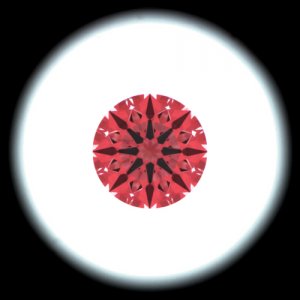 IS_AGS6596208.jpg