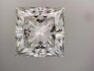 1138392 - Magnified.jpg