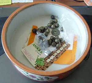 SJS China Pot 3.jpg