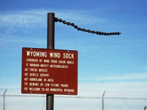 windsock.jpg