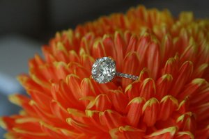 IMG_3503.jpg